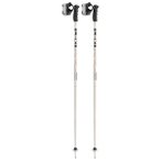Leki - Detect S - Skistöcke Länge 110 cm grau/schwarz