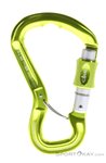 Beal Orient Express Schraubkarabiner-Grün-One Size