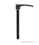 DT Swiss Plug In RWS Road 100x12mm + Lever Steckachse-Schwarz-One Size