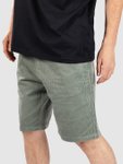 Iriedaily Corvin Shorts mintgrey Gr. XL