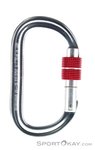 Camp Oval XL Lock Karabiner-Grau-One Size