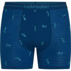 Icebreaker 150 Anatomica Unterhose Herren